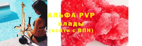 прущая мука Вяземский