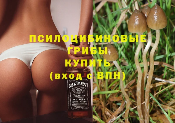 гидропоника Пролетарск