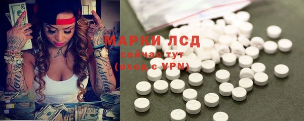 амф Протвино